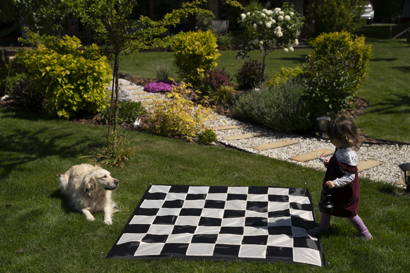 Szachownica nylonowa ogrodowa  nr 6″ (15cm)